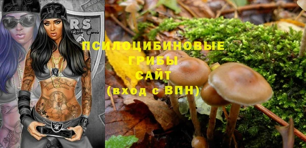 твердый Алексин