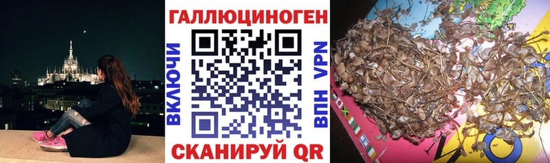 даркнет сайт  Пучеж  KRAKEN как войти  Галлюциногенные грибы Psilocybine cubensis 